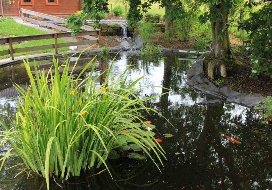 Hotel Zum Buchenberg 圣维特 外观 照片